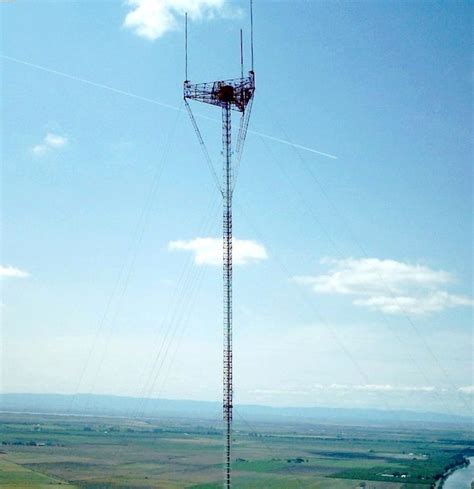 The Tall Towers of Walnut Grove, California